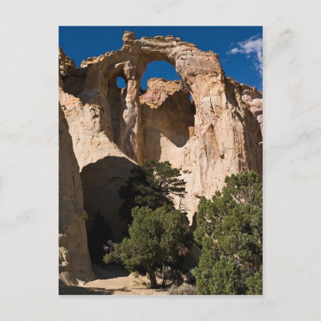 Grosvenor Arch Vykort (Framsida)