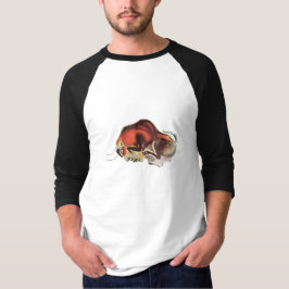 GrottamålningBison Altamira Spanien Tee