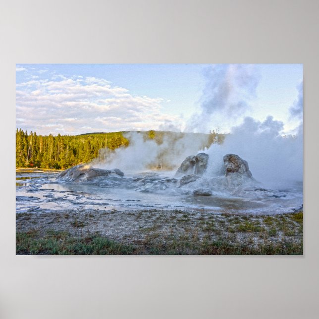Grotto Geyser, nationalparken Yellowstone Poster (Framsidan)
