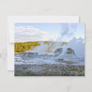 Grotto Geyser, nationalparken Yellowstone Vykort