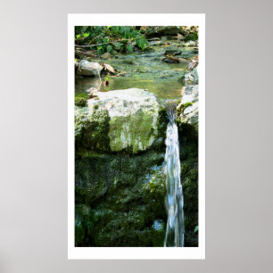Grottoen fjädrar 2 som konst fotograferar poster