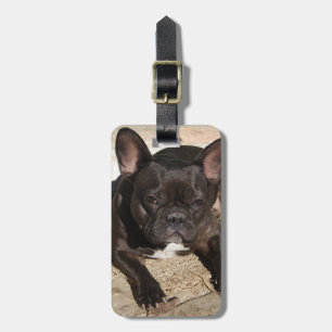 Grouchy Fransk Bulldog Bagagebricka
