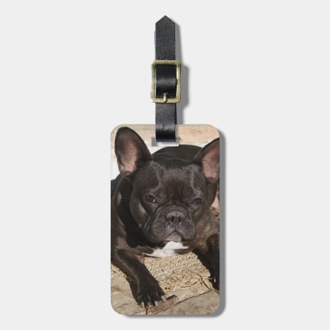 Grouchy Fransk Bulldog Bagagebricka (Vertikal Framsida)