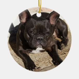 Grouchy Fransk Bulldog Julgransprydnad Keramik