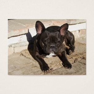 Grouchy Fransk Bulldog Visitkort