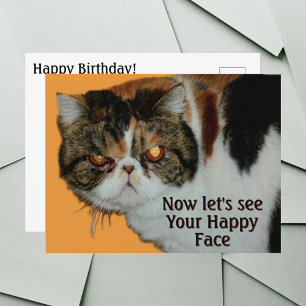 Grouchy Grumpy Cat Exotic Kort-hair Persian Vykort