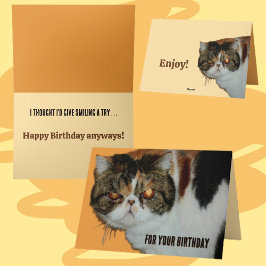 Grouchy Grumpy Cat Exotic Persian Funny Birthday Kort