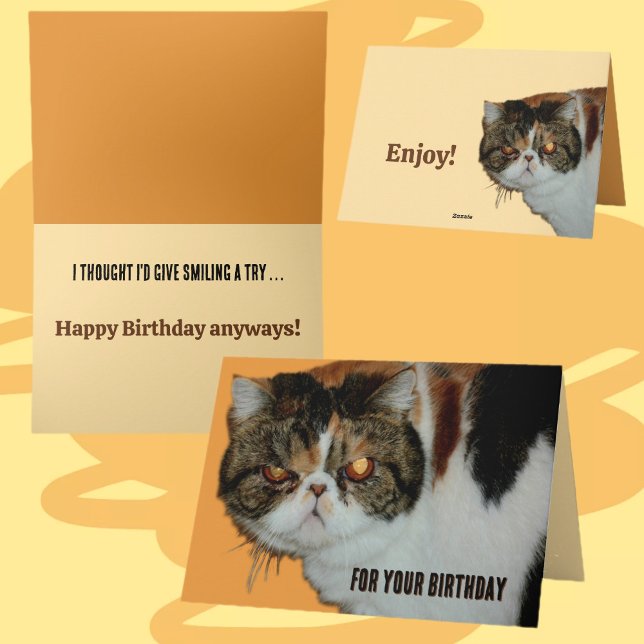 Grouchy Grumpy Cat Exotic Persian Funny Birthday Kort (Skapare uppladdad)