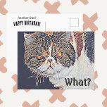 Grouchy Grumpy Cat Funny Birthday Vykort<br><div class="desc">Och den här jävla exotiska kort-hårkatten Persian på det här roliga och märkliga Grattis på födelsedagen-vykortet. Det är inte så att lycklig-grumpy-katten utan tvivel kommer att le på allas ansikte oavsett tillfälle för Birthday önskemål eller bara en Hej i vardagen. Detta vita svarta och bruna kattdjur har "Cattityd". All text...</div>