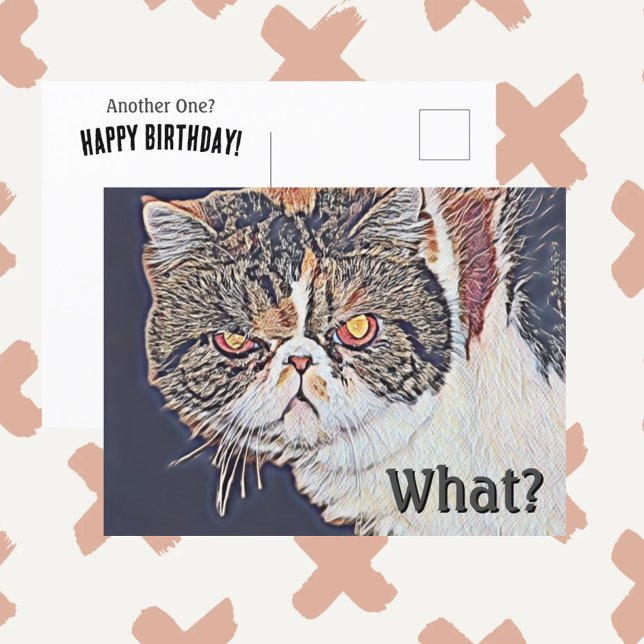 Grouchy Grumpy Cat Funny Birthday Vykort (Skapare uppladdad)
