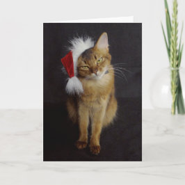 Grouchy Somali Cat i jultomten Helgkort