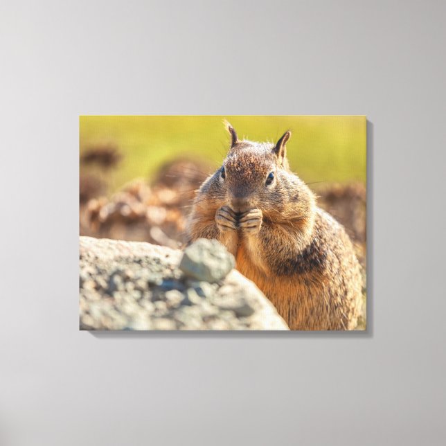 Ground ekorrel canvastryck (Framsida)