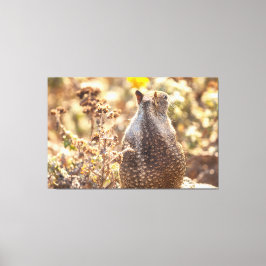 Ground ekorrel canvastryck