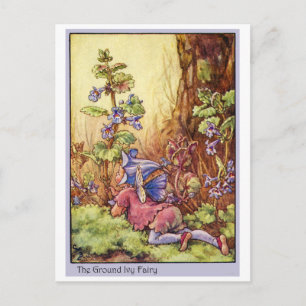 Ground Ivy Fairy Vykort