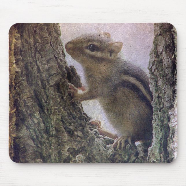 Ground Squirrel Grunge Musmatta (Framsidan)