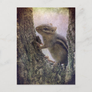 Ground Squirrel Grunge Vykort