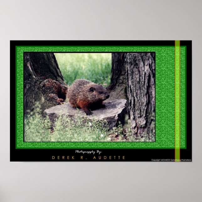 GroundHog 1 Poster (Framsidan)