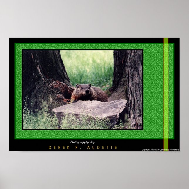 GroundHog 2 Poster (Framsidan)