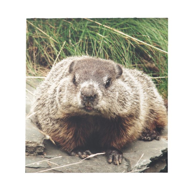 Groundhog Anteckningsblock (Framsida)