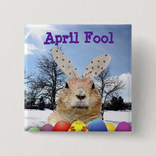 Groundhog April-dag Knapp