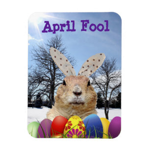 Groundhog April-dag Magnet
