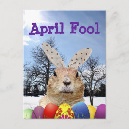 Groundhog April-dag Vykort