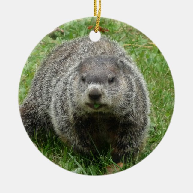 Groundhog äter julgransprydnad keramik (Framsidan)