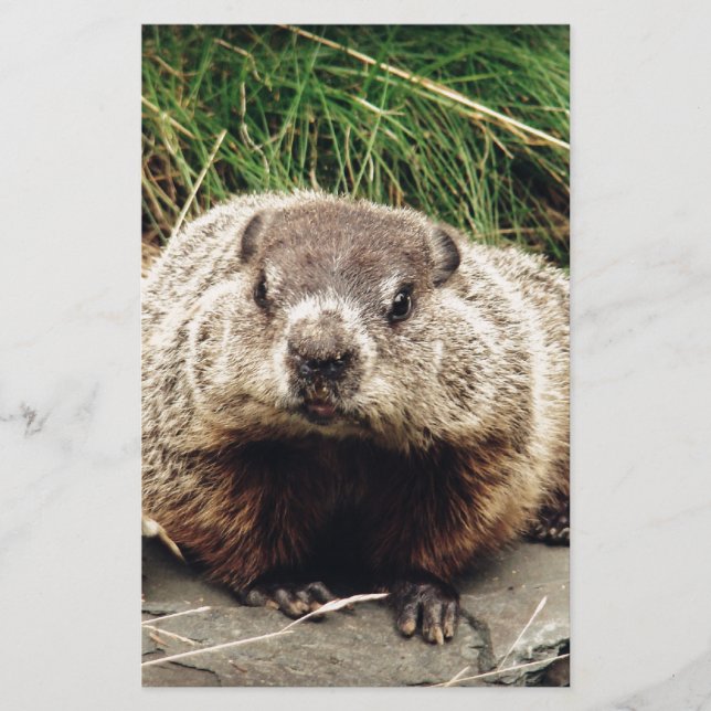 Groundhog Brevpapper (Framsida)