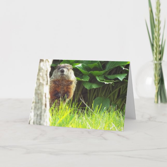 Groundhog Card Kort (Framsida)