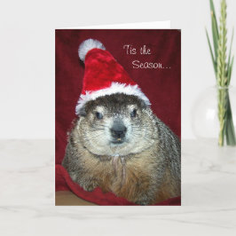 Groundhog Clara Julhälsningar kortet Helgkort