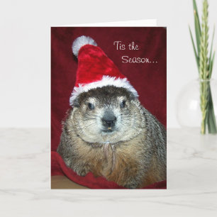 Groundhog Clara Julhälsningar kortet Helgkort