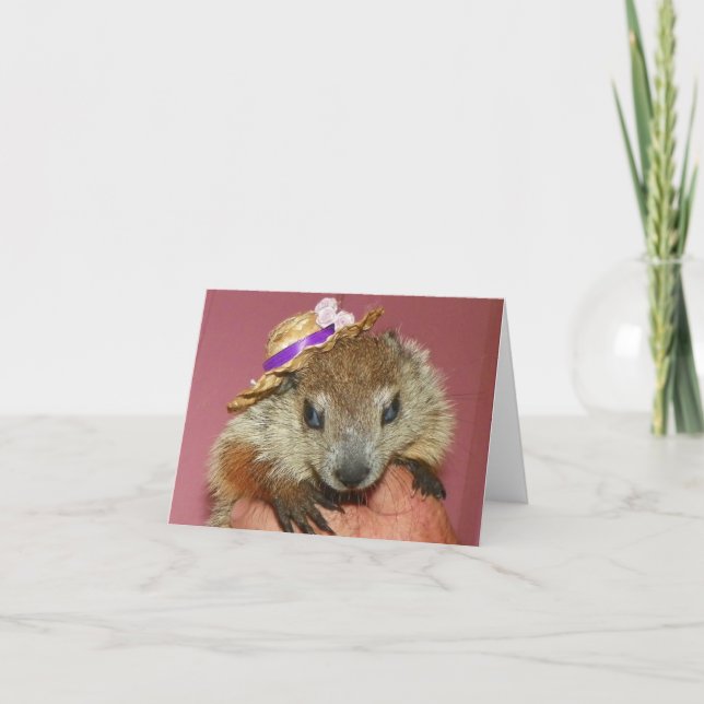 Groundhog Clara Note Card 1 Kort (Framsida)