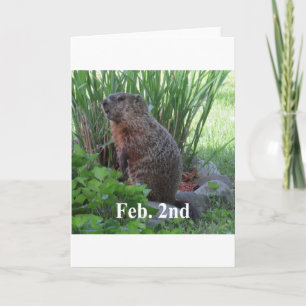 Groundhog dag kort