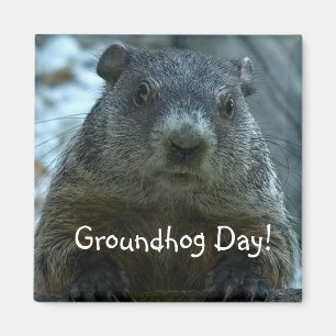 Groundhog dag!! magnet