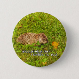 Groundhog Dag-tidningar till dig!knapp Knapp