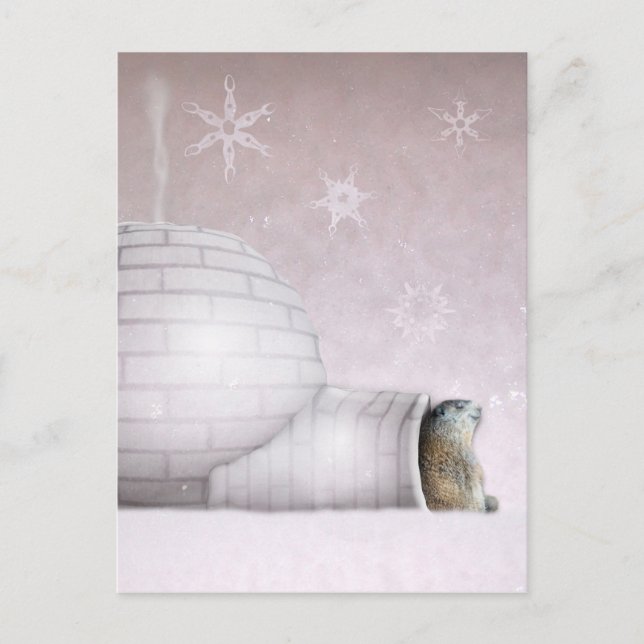 Groundhog Day - Chillin vid igloo Vykort (Framsida)