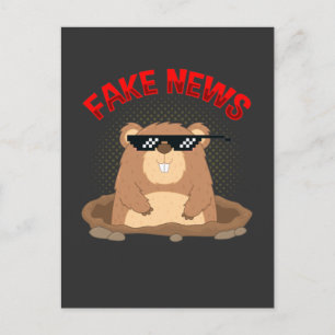 Groundhog Day Fake News Pennsylvania Punxsutawney Vykort