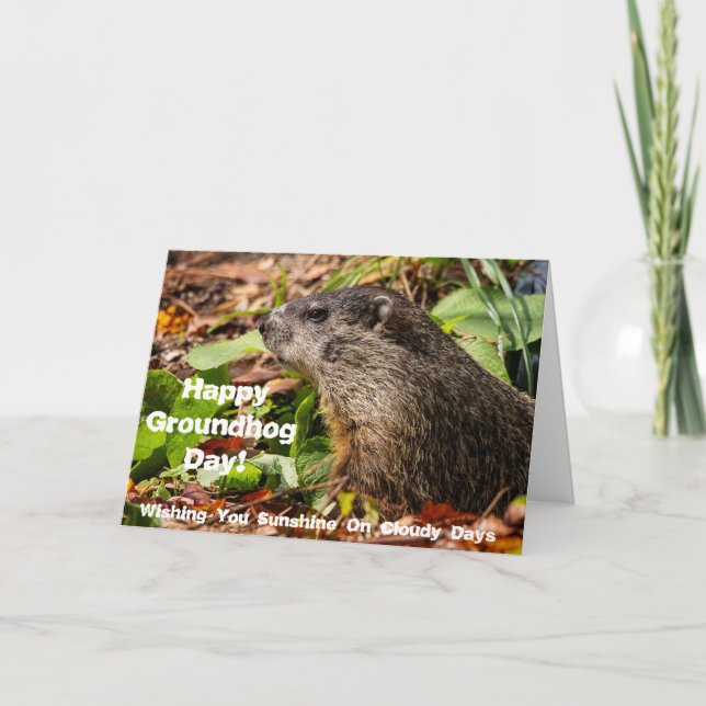 Groundhog Day Kort (Framsida)