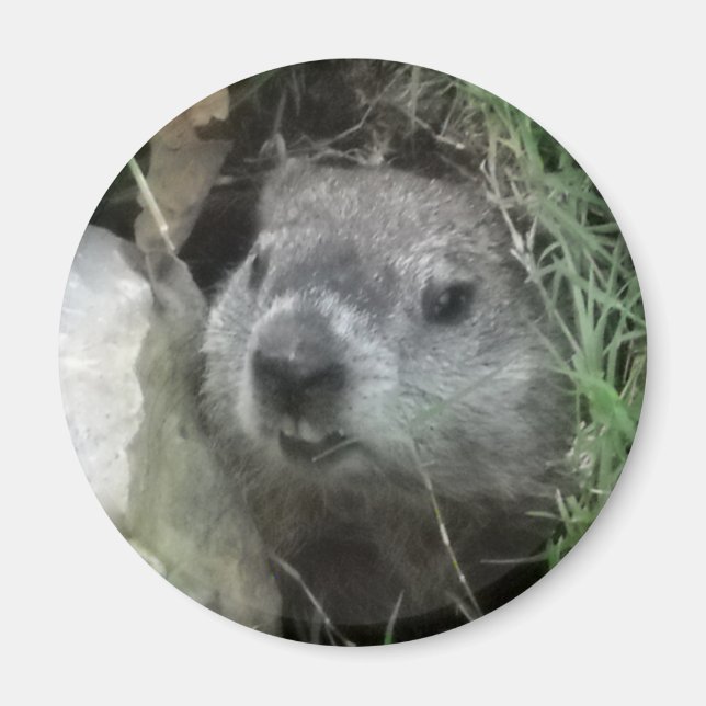 Groundhog Day Magnet (Framsidan)