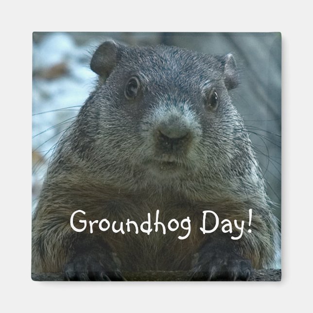 Groundhog Day! Magnet (Framsidan)