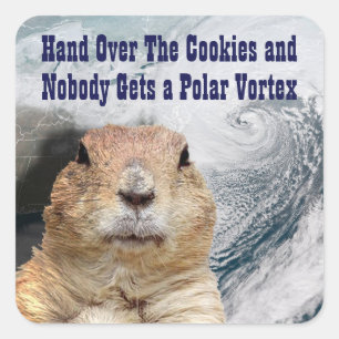 Groundhog Day Polar Vortex Fyrkantigt Klistermärke