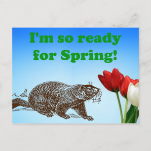 Groundhog Day så Redo för Vår Helgdag Helg Vykort
