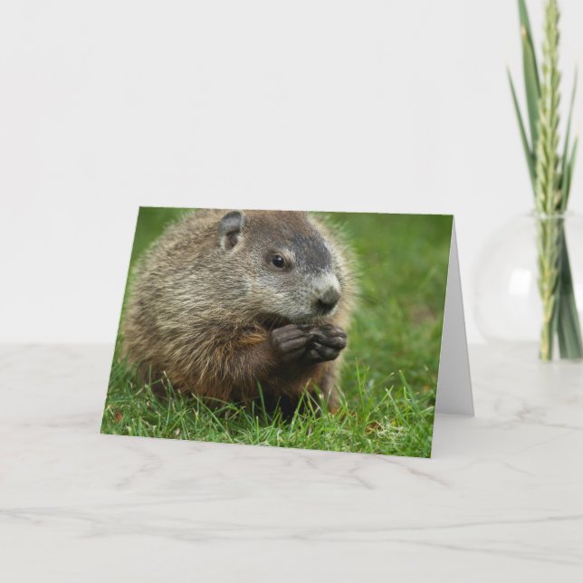 Groundhog Day Woody Kort (Framsida)