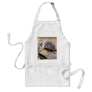 Groundhog Förkläde