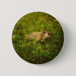 Groundhog i en fält-knapp knapp
