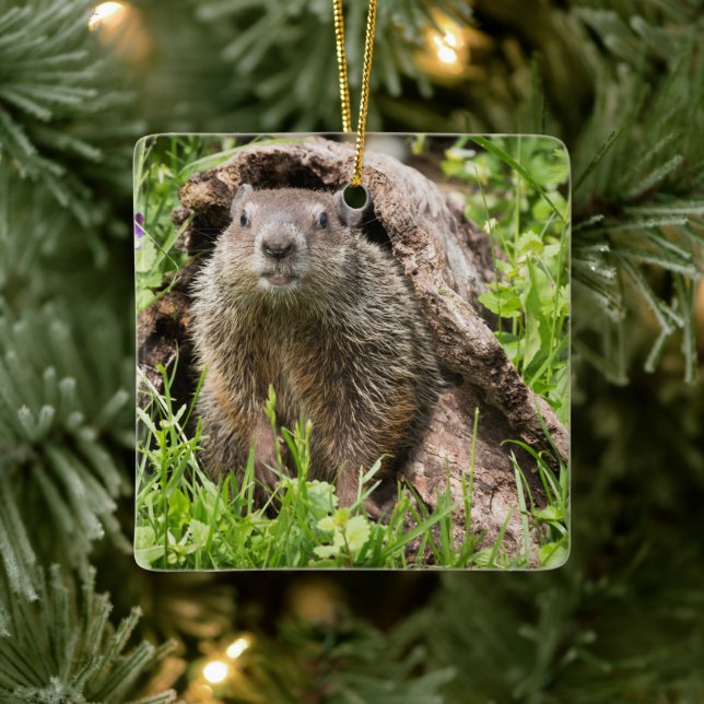 Groundhog i en ihålig logg julgransprydnad keramik (Träd)
