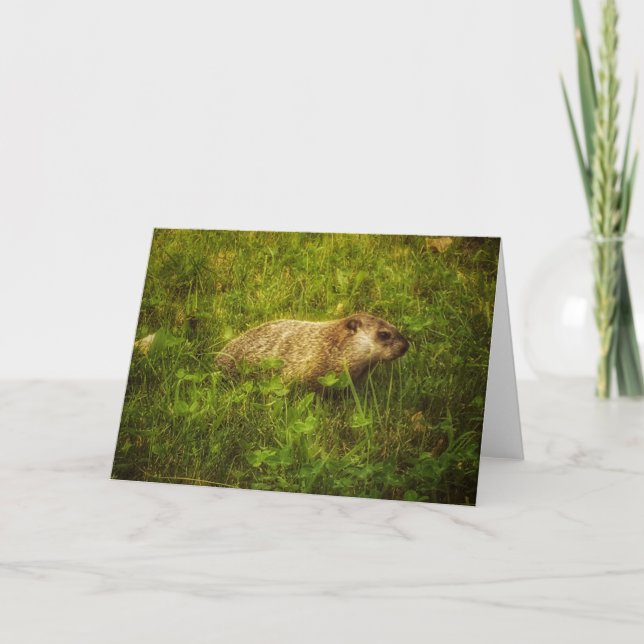 Groundhog i ett hälsningskort i fält kort (Framsida)