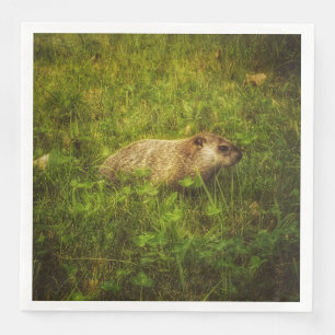 Groundhog i fält pappersservett