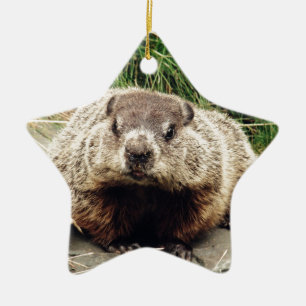 Groundhog Julgransprydnad Keramik