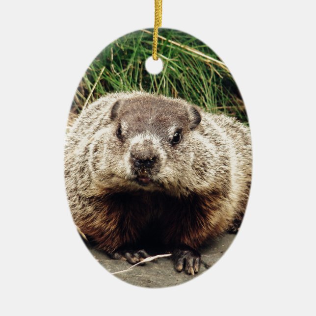 Groundhog Julgransprydnad Keramik (Framsidan)